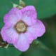 Detail-Infos
